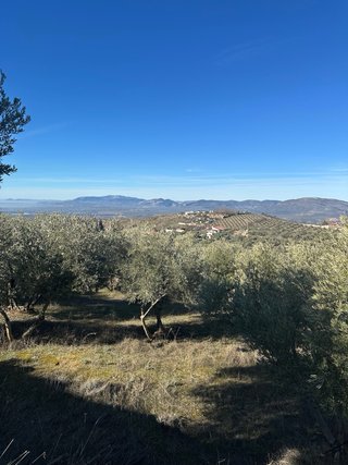 Finca de regadío en Cogollos