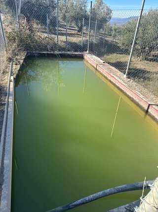 Finca de regadío en Cogollos