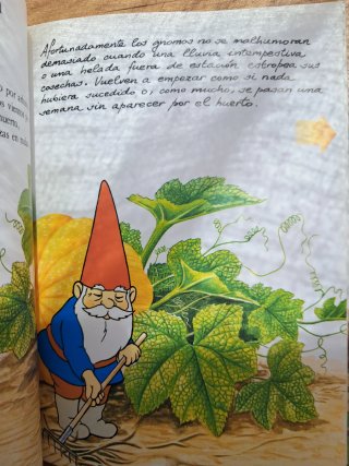 El Libro Secreto De Los Gnomos 9
