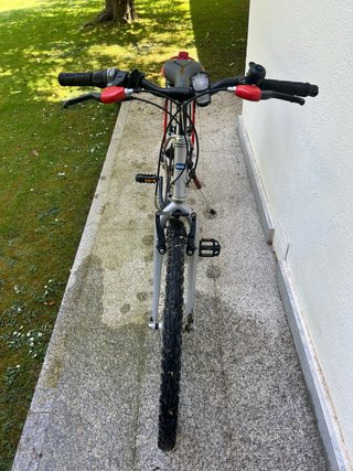 Bicicleta de paseo plateada