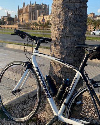 Bicicleta de Carretera de Fibra de Carbono