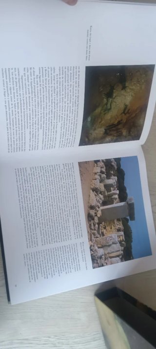 Historia del arte de España (Spanish Edition)