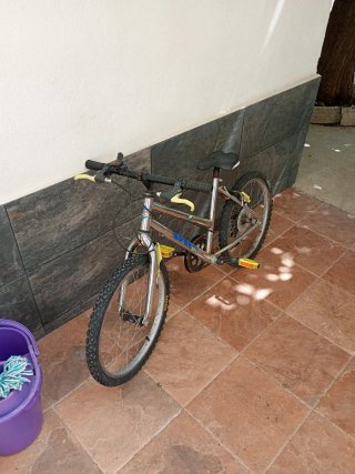 Bicicleta 20 pulgadas
