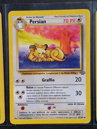 Carte dei Pokémon - Jungle
