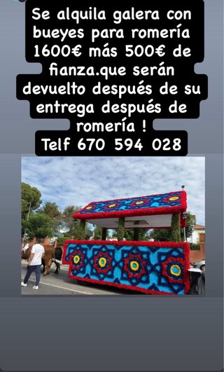 Alquiler galera con bueyes para romería
