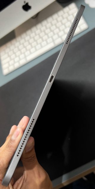 iPad Pro 12.9 4ª Gen 256 gb - space grey