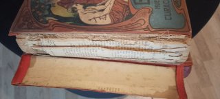 Libros Bilz: Nuevo Sistema de Curación Natural
