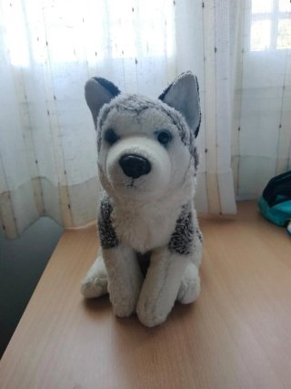 Lote 4 peluches: mono, búho, perro y tortuga