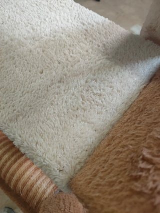 Rascador para gatos