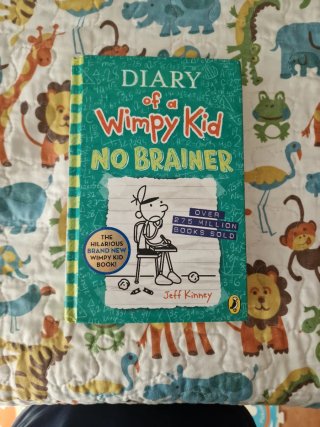 LIBRO: DIARY OF A WIMPY KID