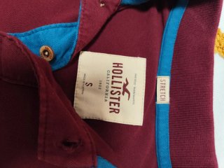 Polo Hollister