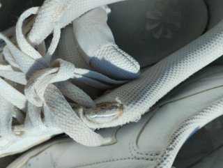 Scarpe sportive Nike bianche taglia 41