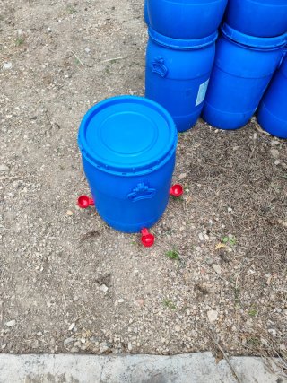 Bidones 60l bebedero para gallinas