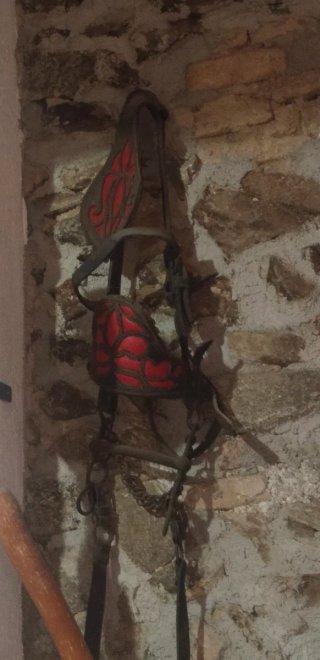 Cabezada de caballo con adornos rojos