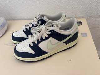 Nike Dunk Low Azul y Blanco