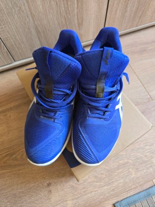 Asics Solution Speed FF 3 Clay 44.5