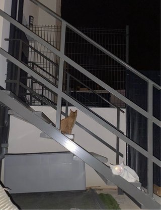 Par de Pasamanos metálico para exterior