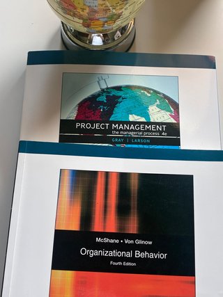 2 Libros Project Mgmt + Organizational Behavior