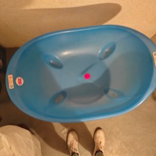 Bañera para bebé o mascota azul