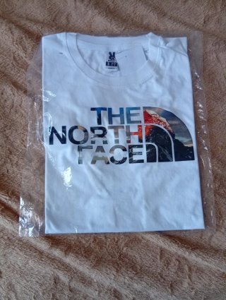 Camiseta The North Face Talla S