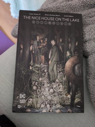 The Nice House on the Lake