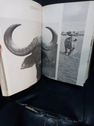 El gran libro decla caza tomo 1