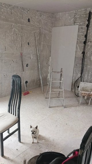 Albañe con experiencia