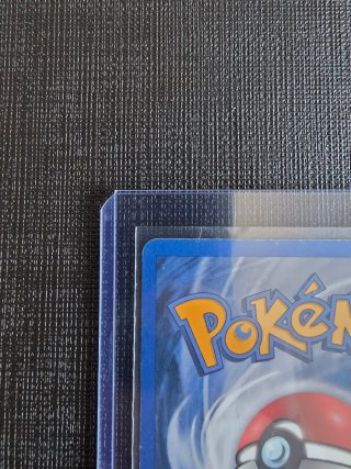Carta Pokémon Rayquaza ex 97/97