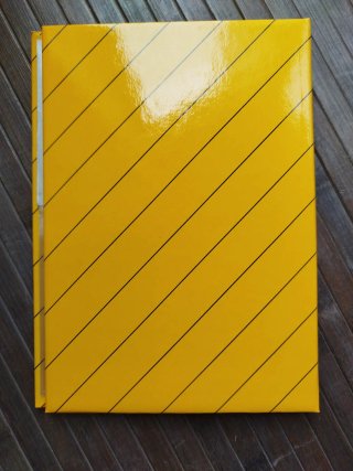 🇪🇸 Álbum antiguo con colección de billetes