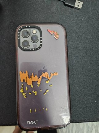 iPhone 12 Pro Multicolor