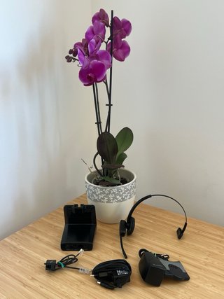 Auricular Inalámbrico Profesional Plantronics CS54