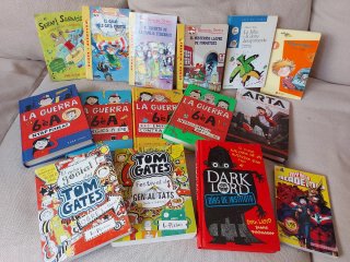 Lote libros juvenil