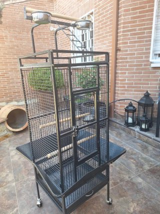 Jaula Grande para Loro