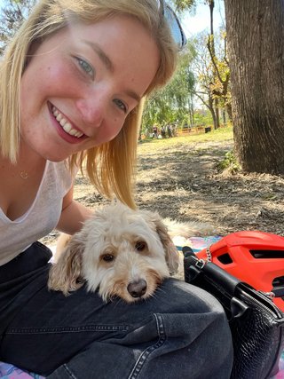 Dog Walking / Caminar con perros