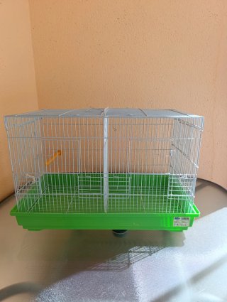 Jaula cría pájaros verde y plata