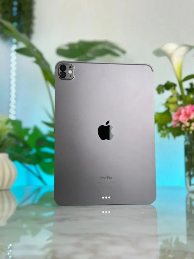 iPad Pro M4 GARANTIA 100%