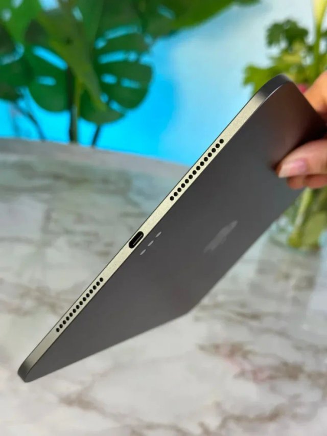 iPad Pro M4 GARANTIA 100%