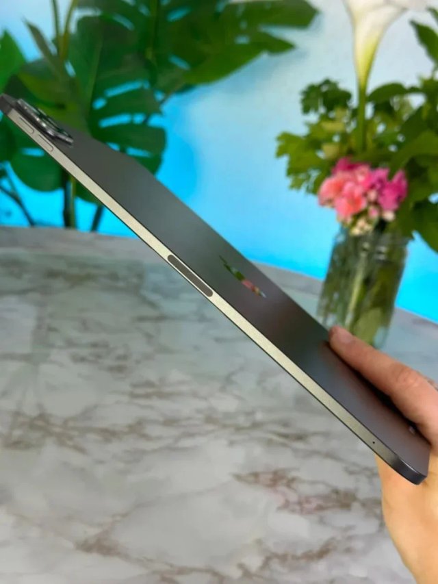 iPad Pro M4 GARANTIA 100%