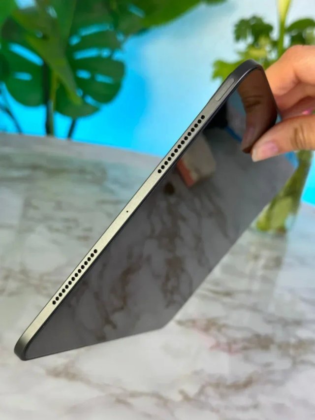 iPad Pro M4 GARANTIA 100%