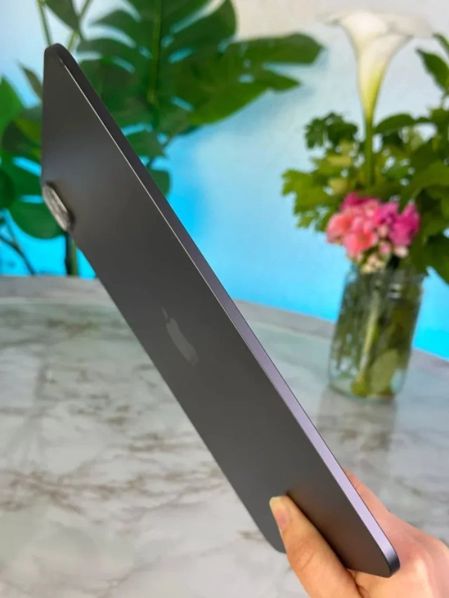 iPad Pro M4 GARANTIA 100%
