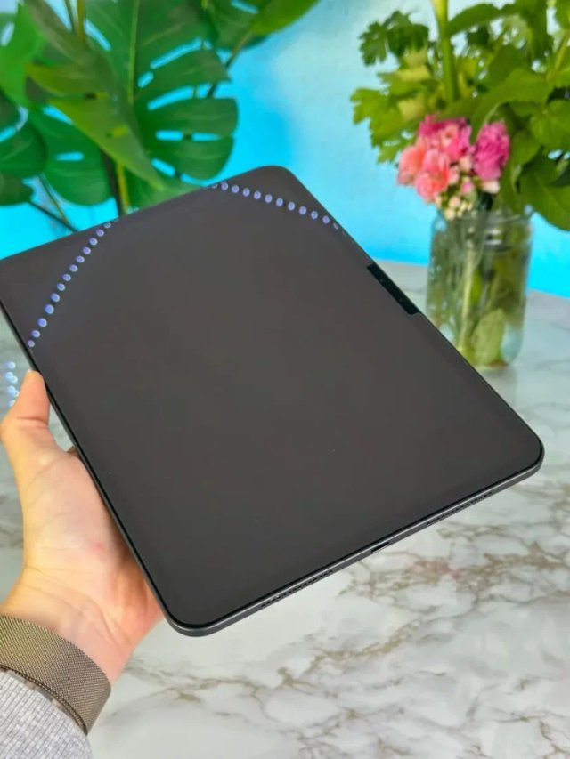iPad Pro M4 GARANTIA 100%