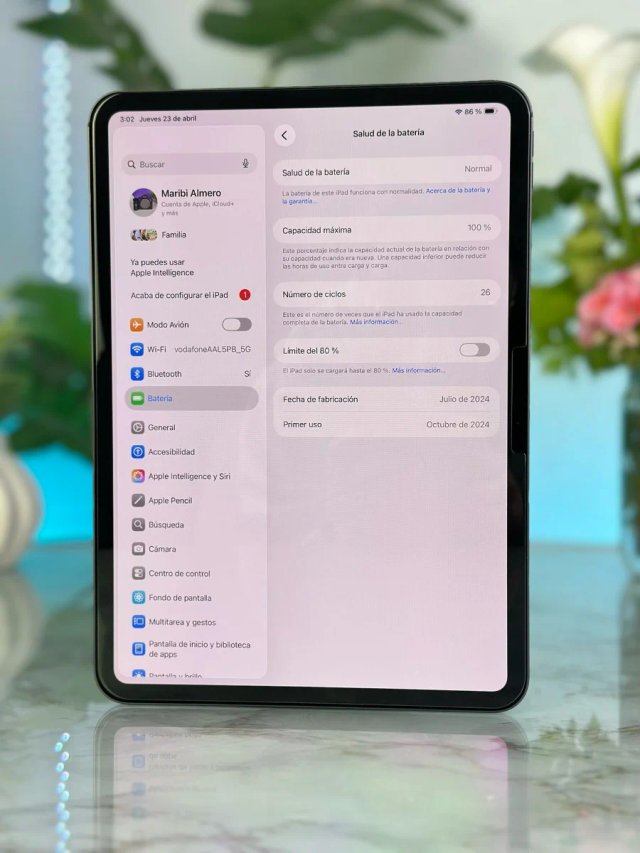 iPad Pro M4 GARANTIA 100%