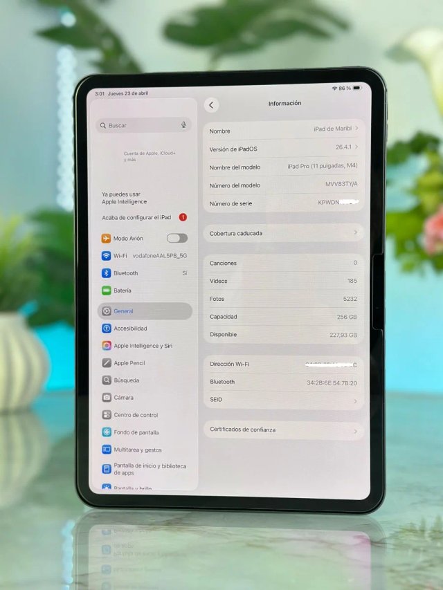 iPad Pro M4 GARANTIA 100%