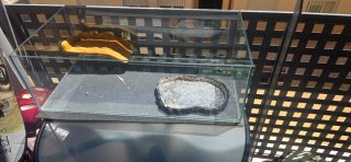 Terrario para tortugas con accesorios