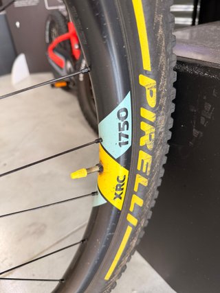 Mondraker F-Podium R