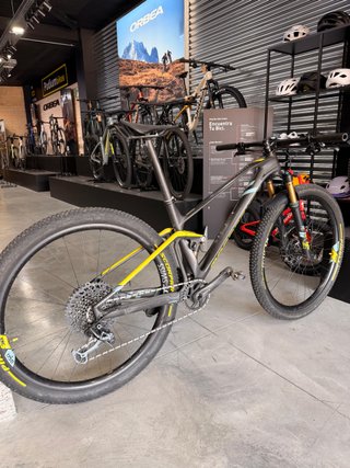 Mondraker F-Podium R