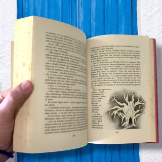 Harry Potter E il Prigioniero D'Azkaban (Harry ...