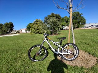 Bici Enduro Specialized