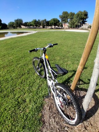 Bici Enduro Specialized