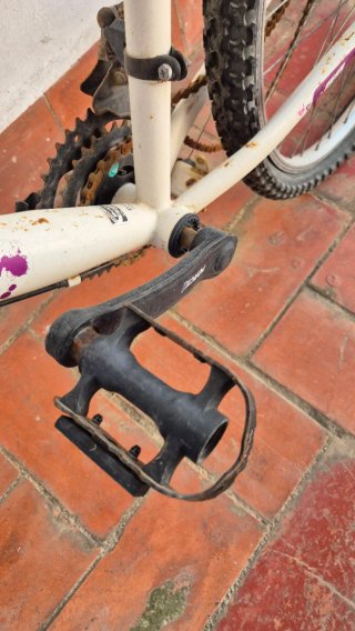 Bicicleta